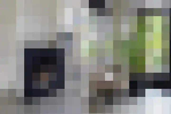 Bandhaak 10 Papendrecht thumbnail 14
