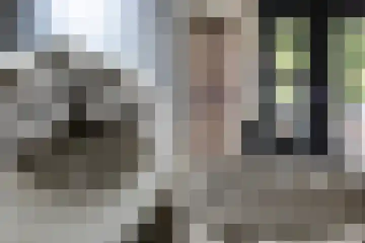 Bandhaak 10 Papendrecht thumbnail 15