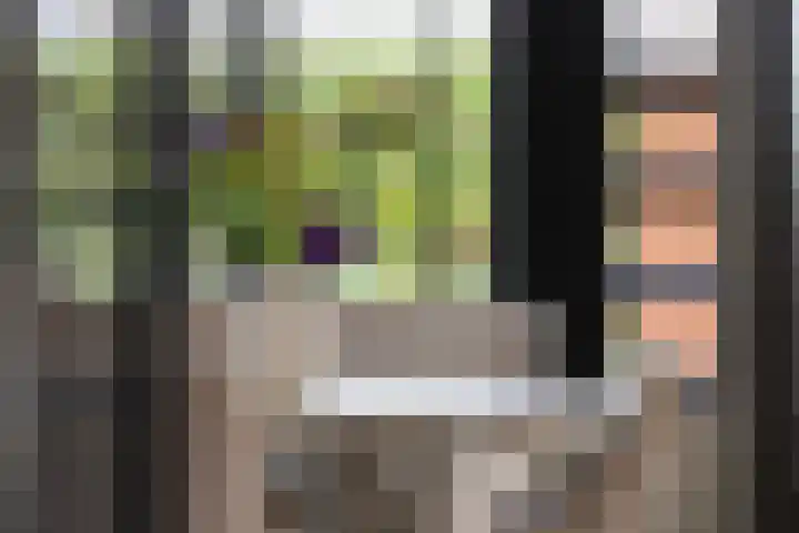 Bandhaak 10 Papendrecht thumbnail 18