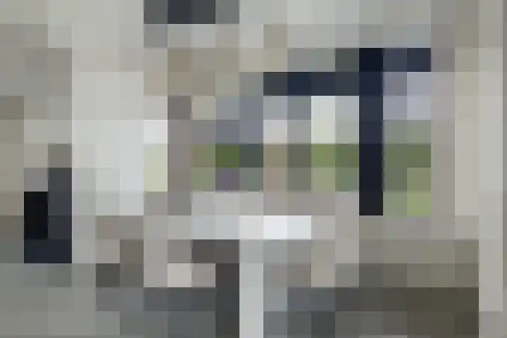 Bandhaak 10 Papendrecht thumbnail 19