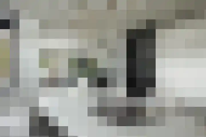 Bandhaak 10 Papendrecht thumbnail 22