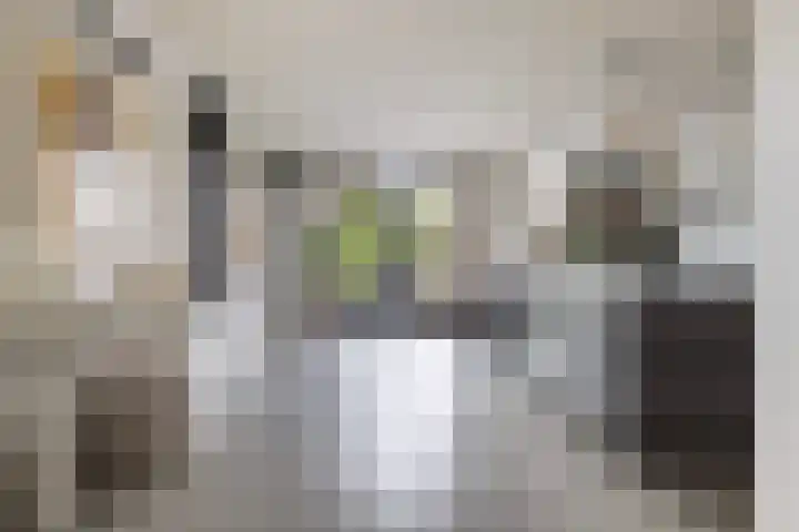 Bandhaak 10 Papendrecht thumbnail 23