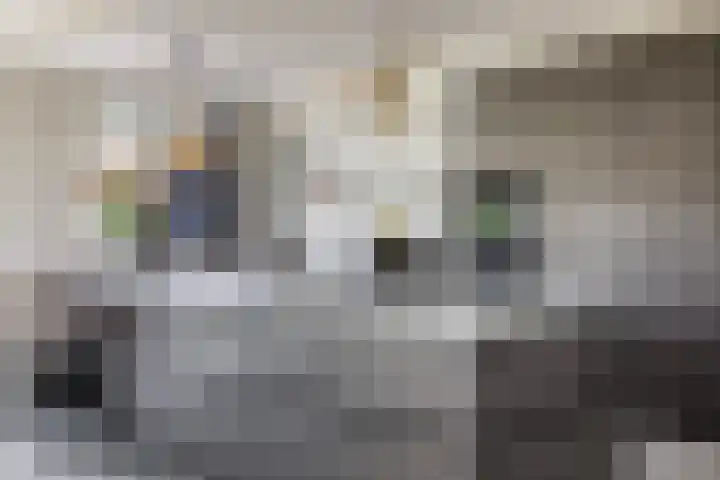 Bandhaak 10 Papendrecht thumbnail 24