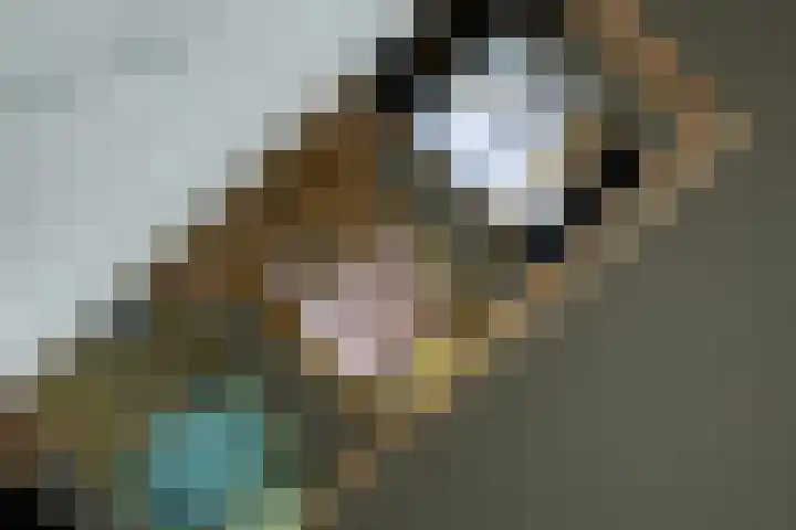 Bandhaak 10 Papendrecht thumbnail 27