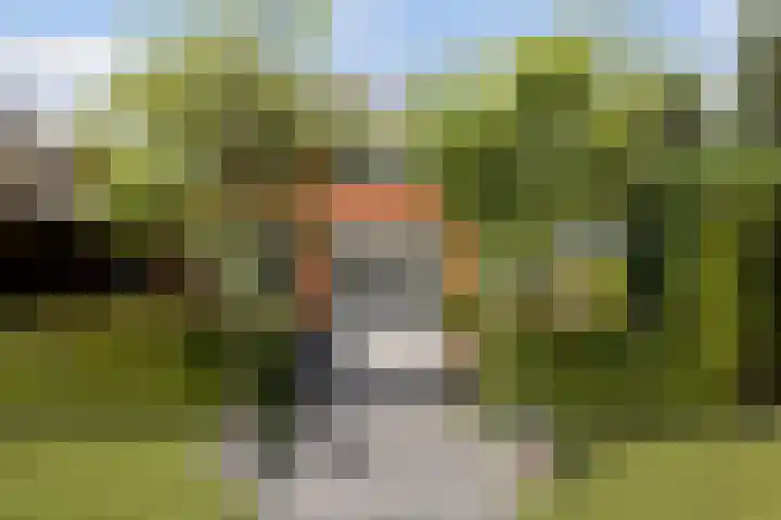 Bandhaak 10 Papendrecht thumbnail 34