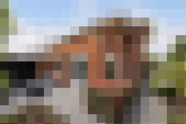Bandhaak 10 Papendrecht thumbnail 36