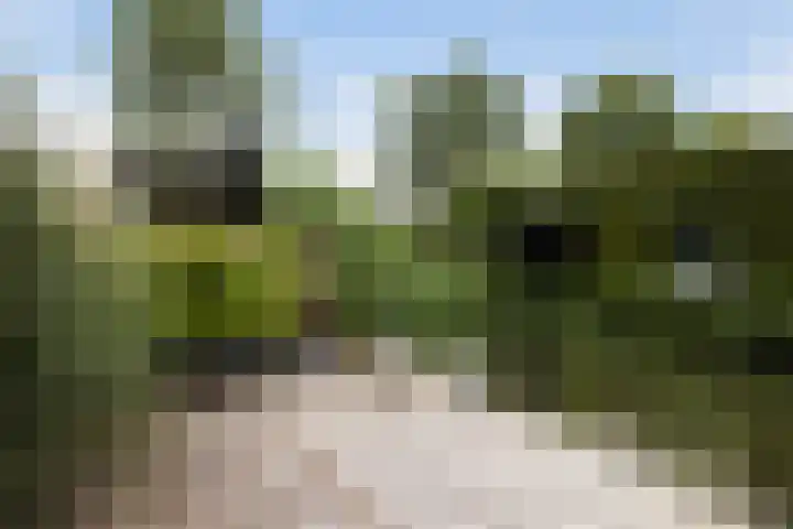 Bandhaak 10 Papendrecht thumbnail 38