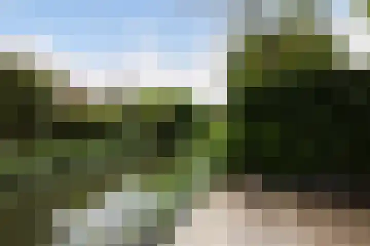 Bandhaak 10 Papendrecht thumbnail 39