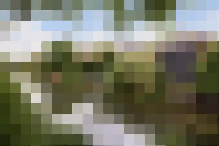 Bandhaak 10 Papendrecht thumbnail 40