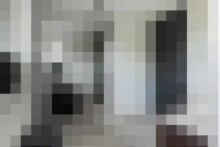 Bandhaak 10 Papendrecht thumbnail 45