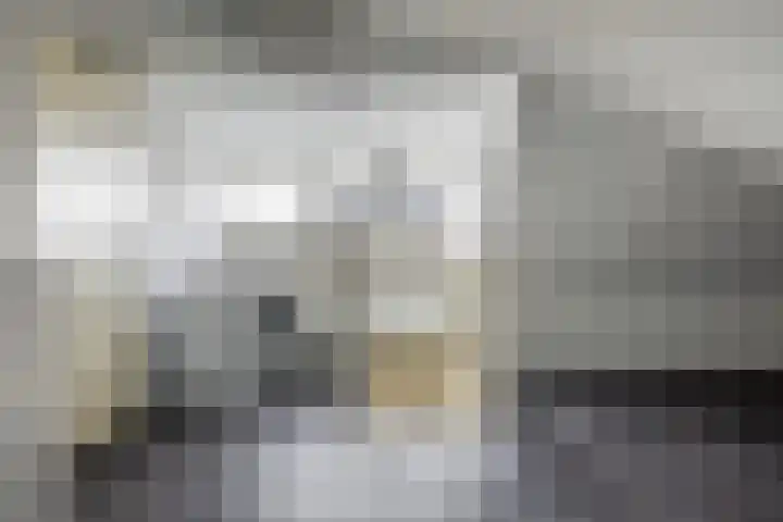 Bandhaak 10 Papendrecht thumbnail 50