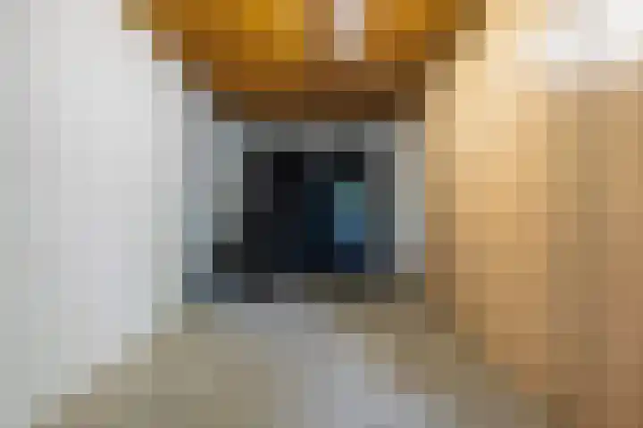 Bandhaak 10 Papendrecht thumbnail 53