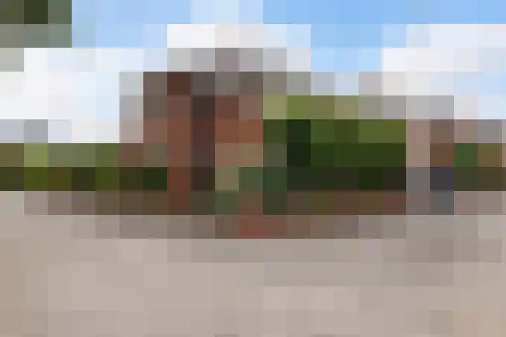 Bandhaak 10 Papendrecht thumbnail 65