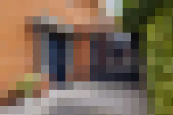 Bandhaak 10 Papendrecht thumbnail 7