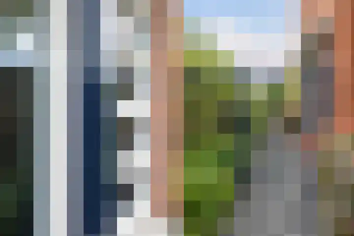 Bandhaak 10 Papendrecht thumbnail 8