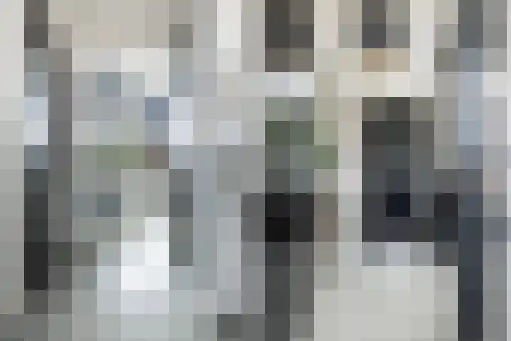 Bandhaak 10 Papendrecht thumbnail 9