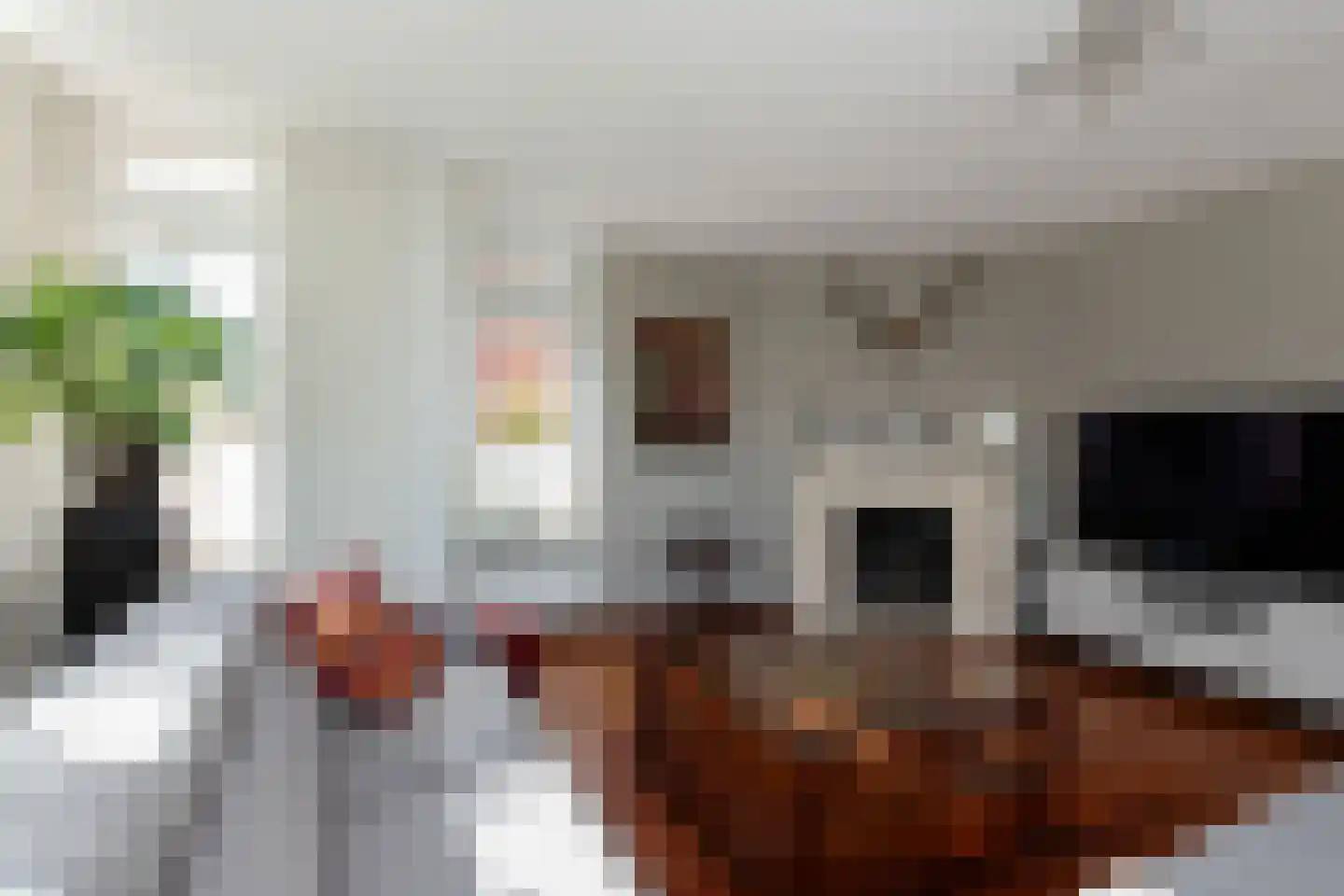 Bandhaak 9 Papendrecht thumbnail 11