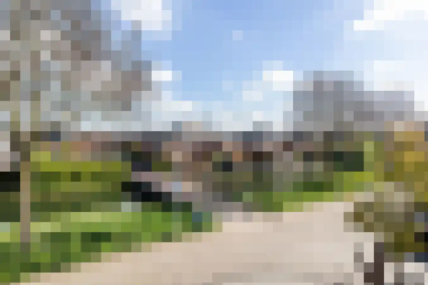 Bandhaak 9 Papendrecht thumbnail 30