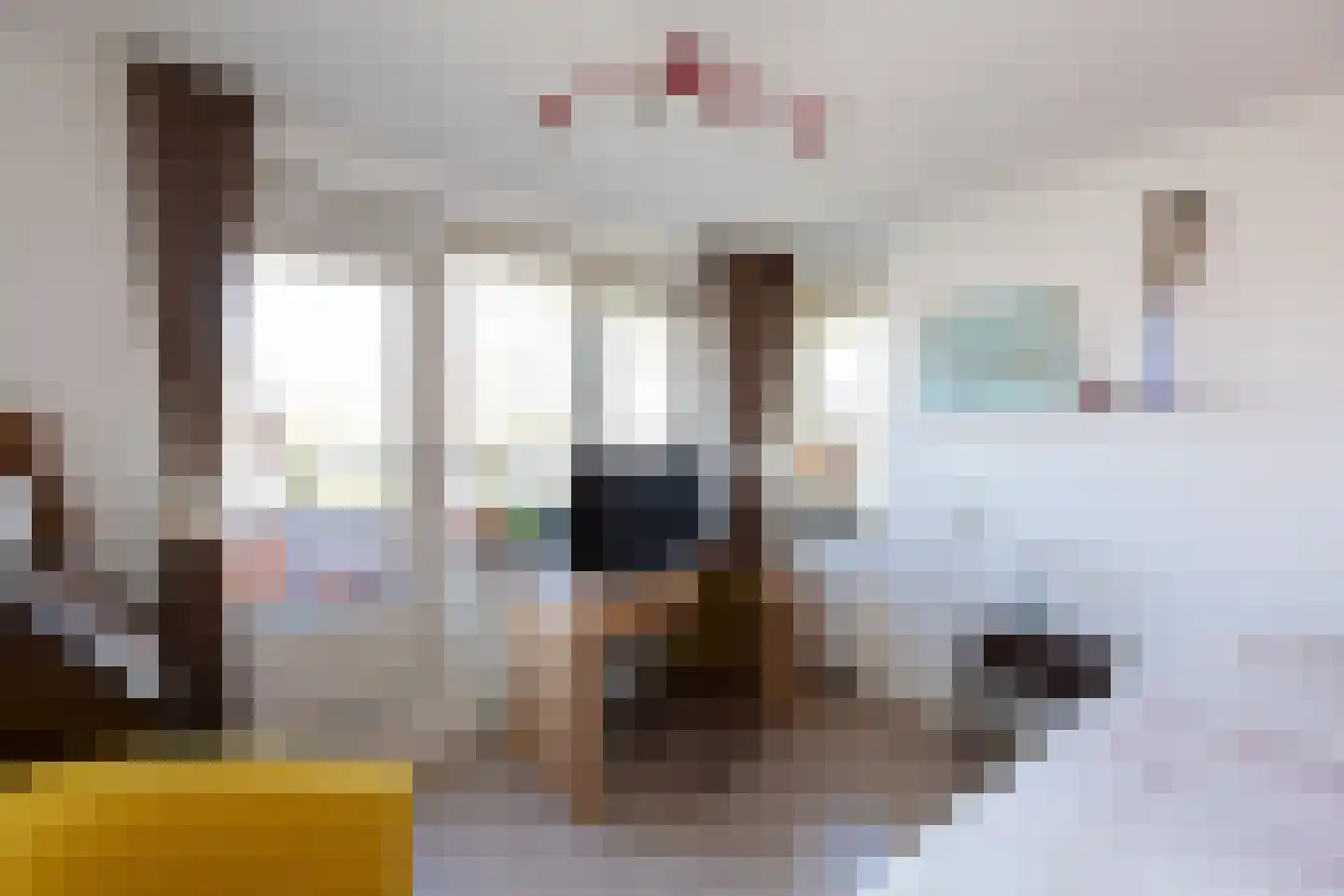 Bandhaak 9 Papendrecht thumbnail 31