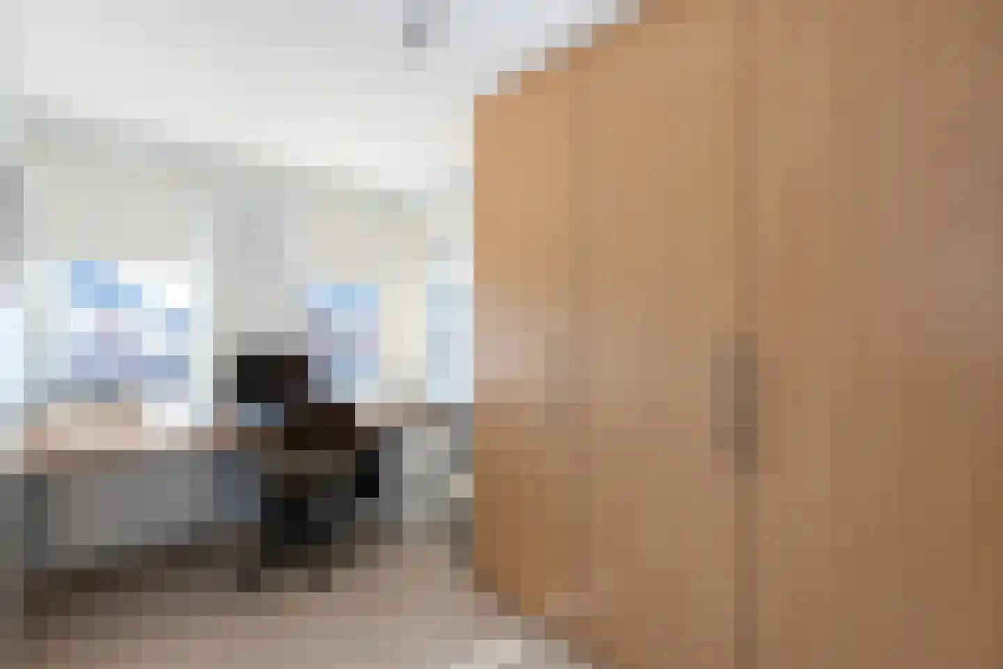 Bandhaak 9 Papendrecht thumbnail 32