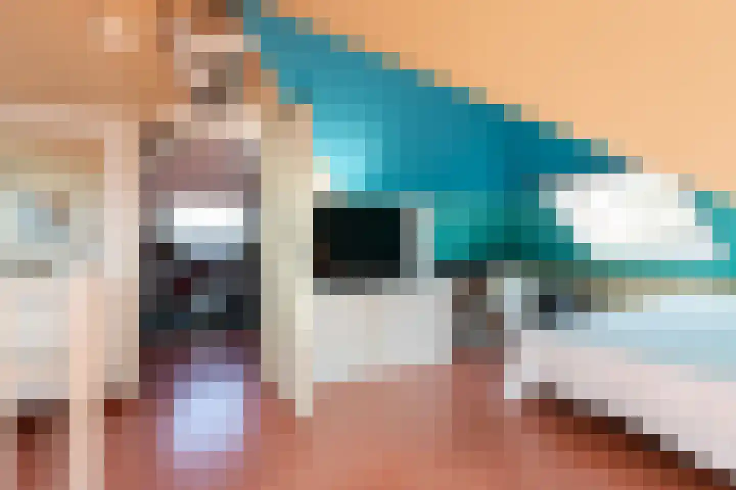 Bandhaak 9 Papendrecht thumbnail 38