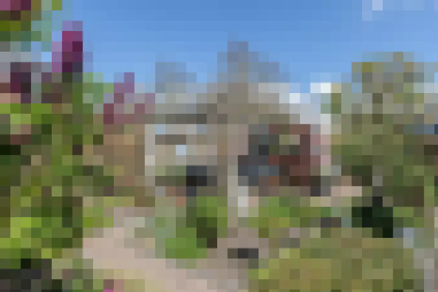 Bandhaak 9 Papendrecht thumbnail 40