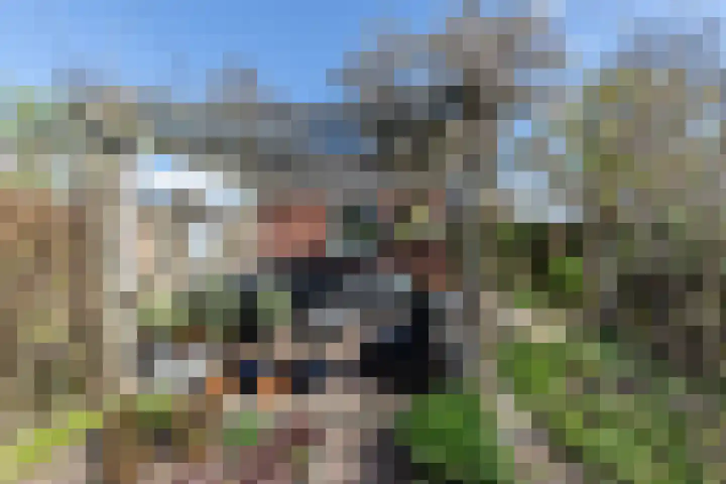 Bandhaak 9 Papendrecht thumbnail 42