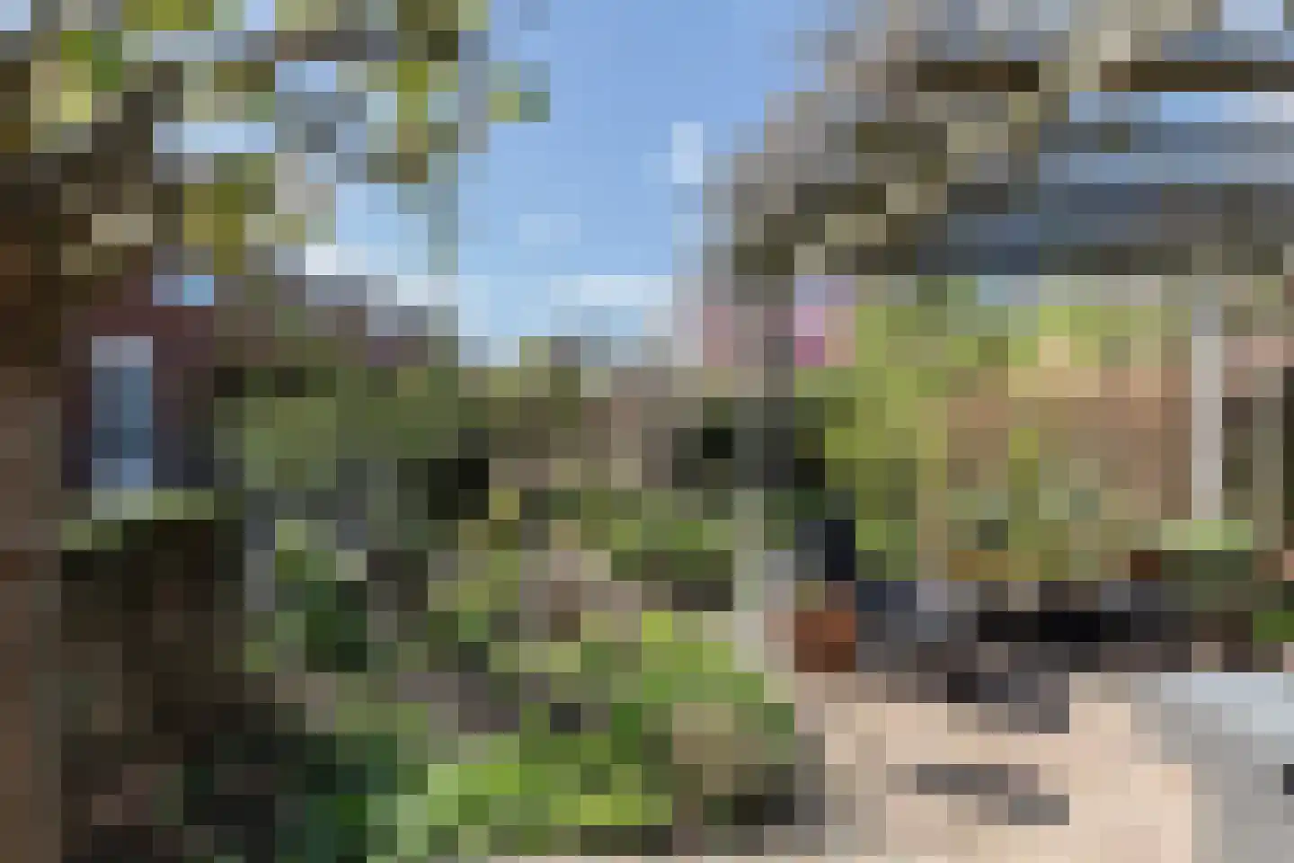 Bandhaak 9 Papendrecht thumbnail 43