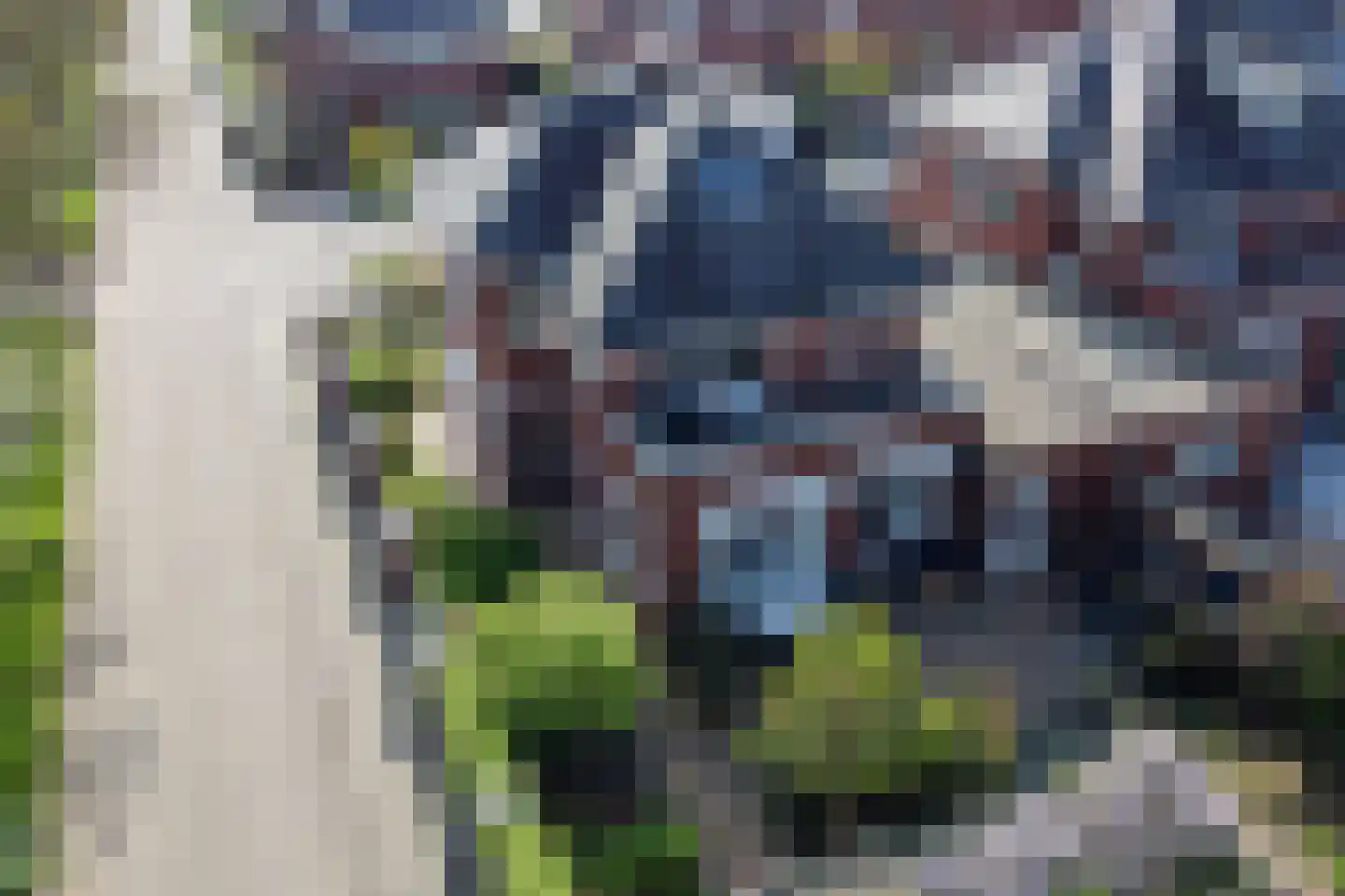 Bandhaak 9 Papendrecht thumbnail 46