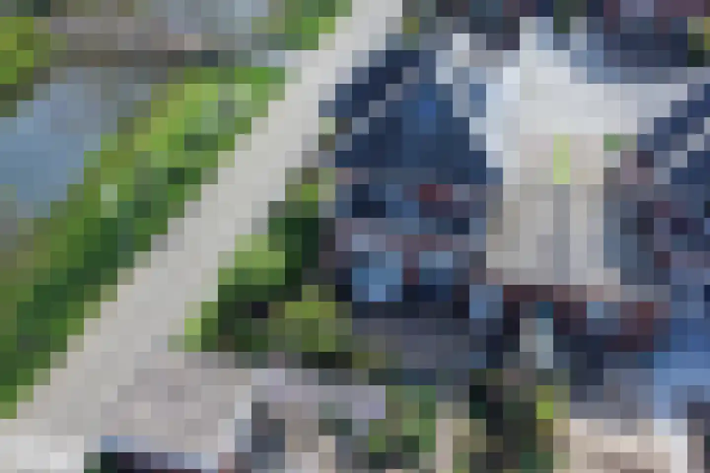 Bandhaak 9 Papendrecht thumbnail 48