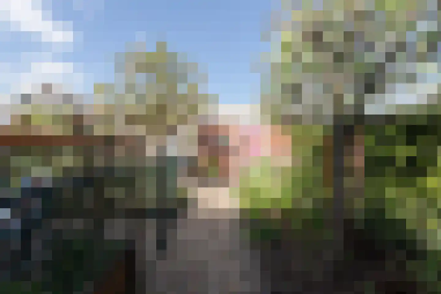 Bandhaak 9 Papendrecht thumbnail 49
