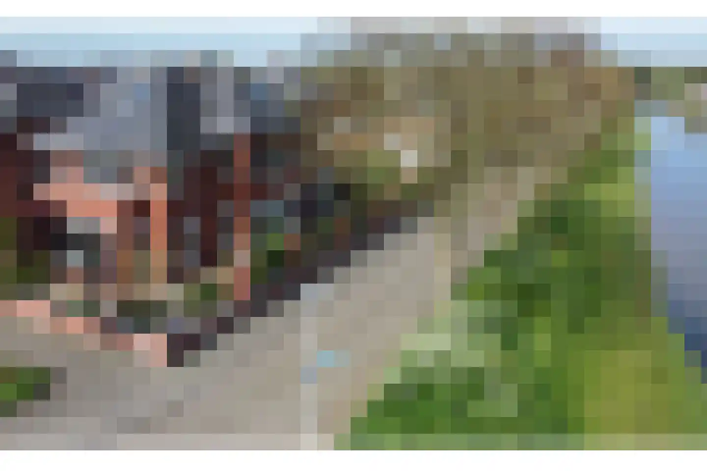 Bandhaak 9 Papendrecht thumbnail 5