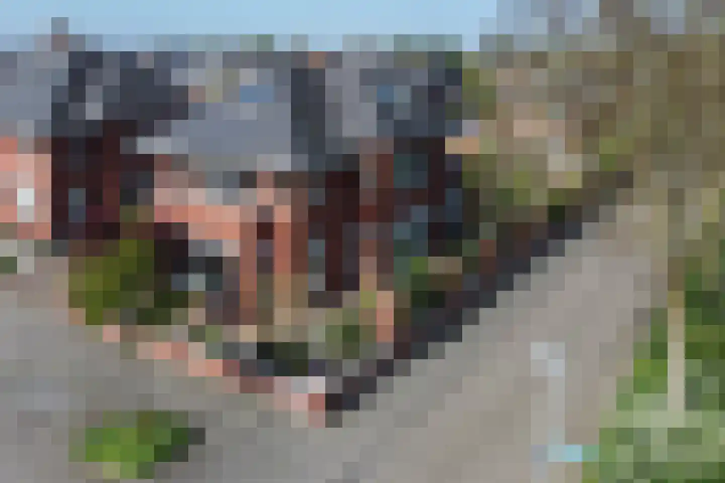 Bandhaak 9 Papendrecht thumbnail 52