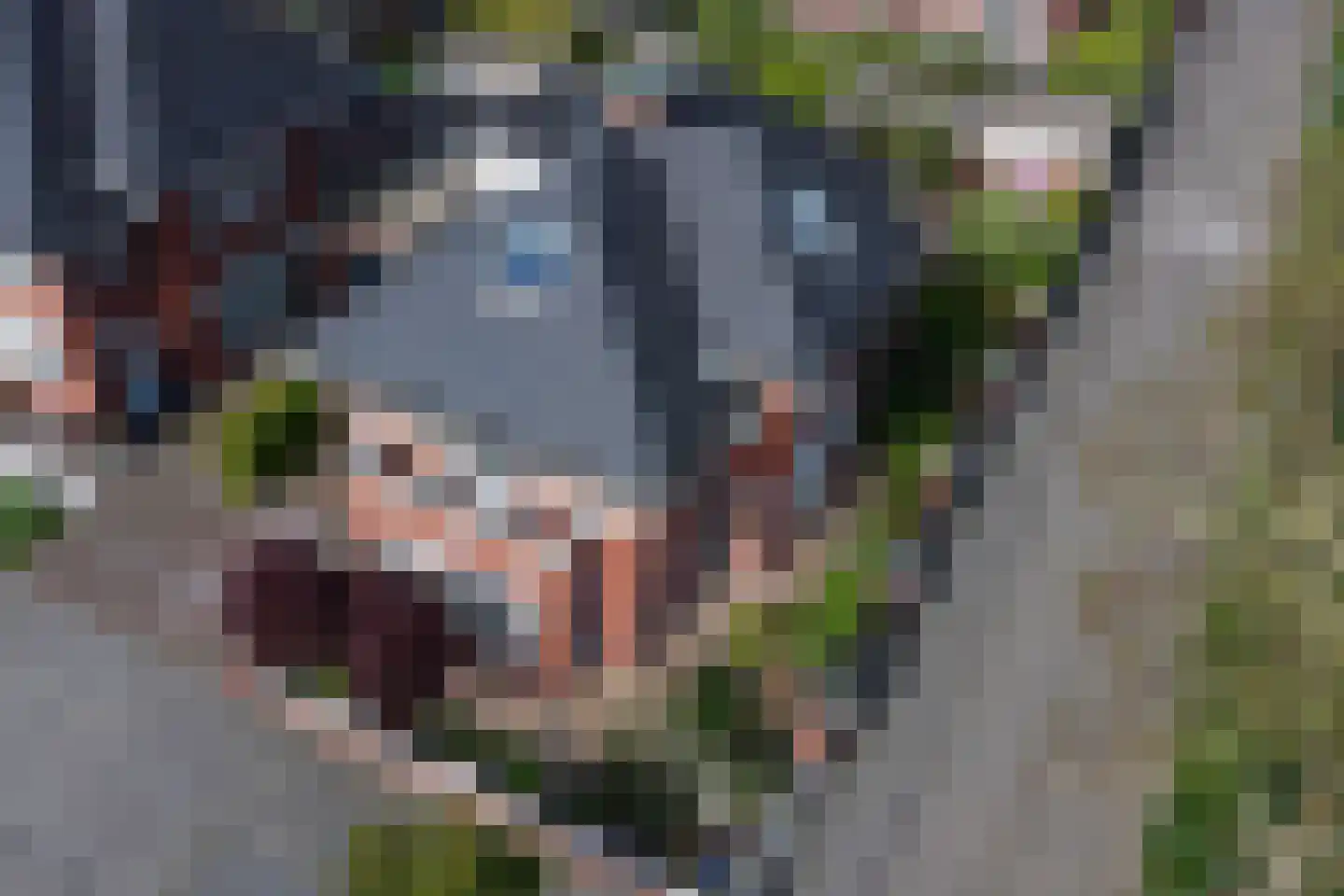 Bandhaak 9 Papendrecht thumbnail 55