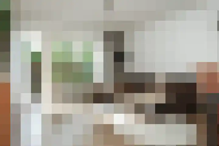 Bandholm 108 Hoofddorp thumbnail 10