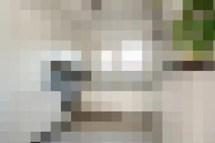 Bandholm 108 Hoofddorp thumbnail 14