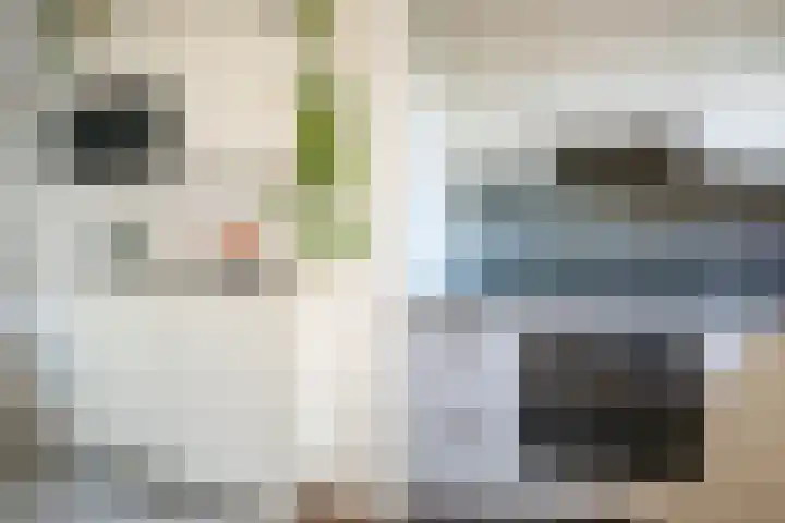 Bandholm 108 Hoofddorp thumbnail 16