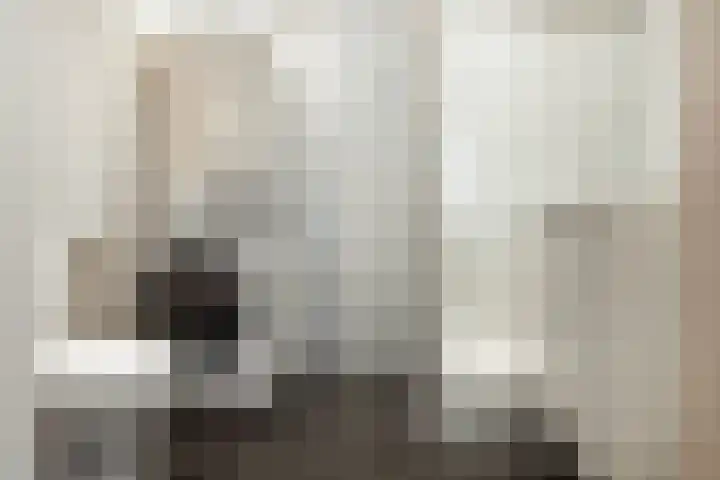 Bandholm 108 Hoofddorp thumbnail 21
