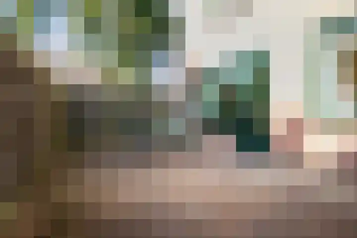 Bandholm 108 Hoofddorp thumbnail 25