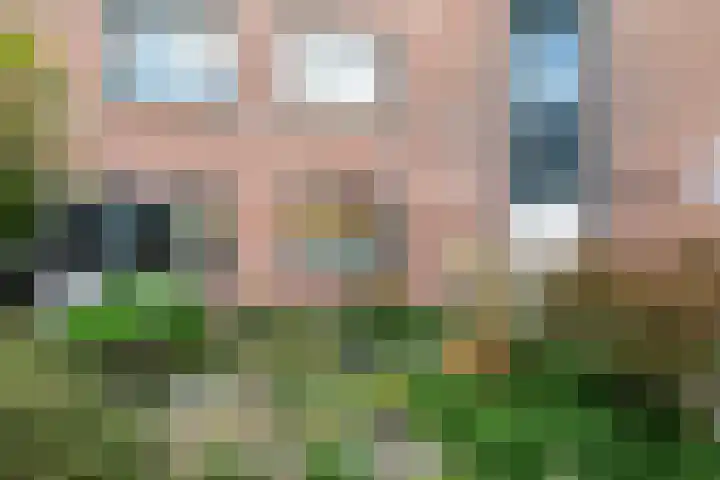 Bandholm 108 Hoofddorp thumbnail 26