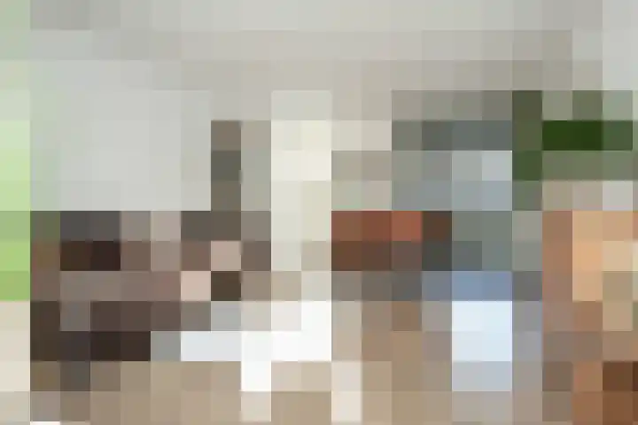 Bandholm 108 Hoofddorp thumbnail 4