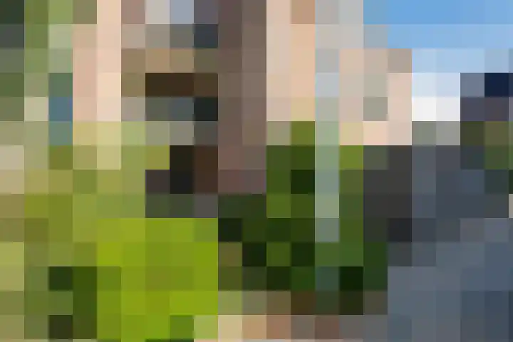 Bandholm 108 Hoofddorp thumbnail 6