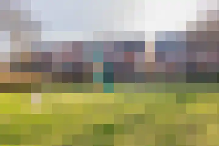 Bandholm 130 Hoofddorp thumbnail 40