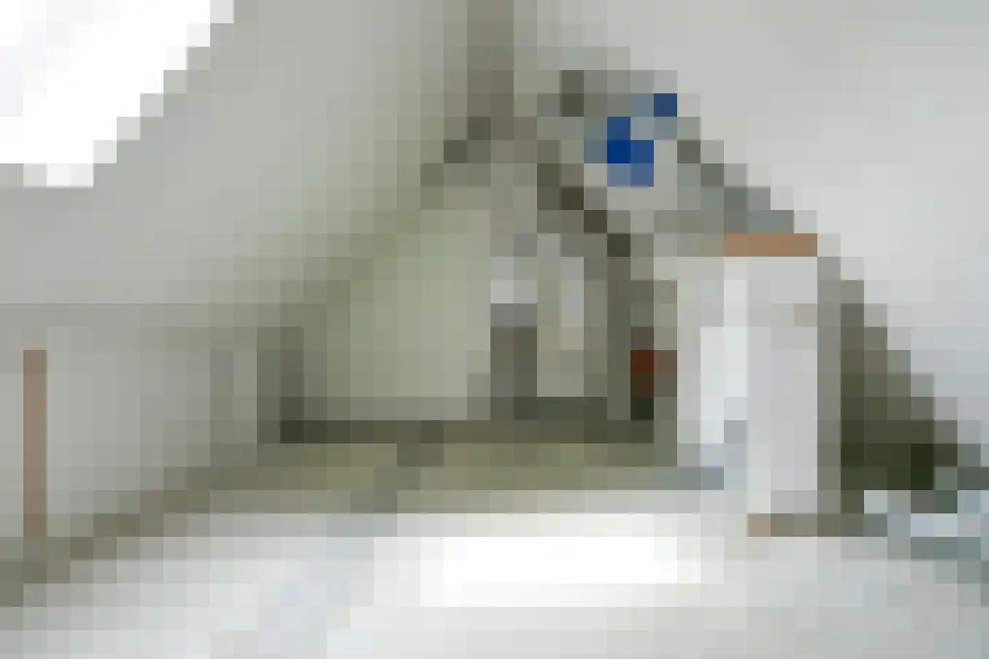 Bandholm 35 Hoofddorp thumbnail 29