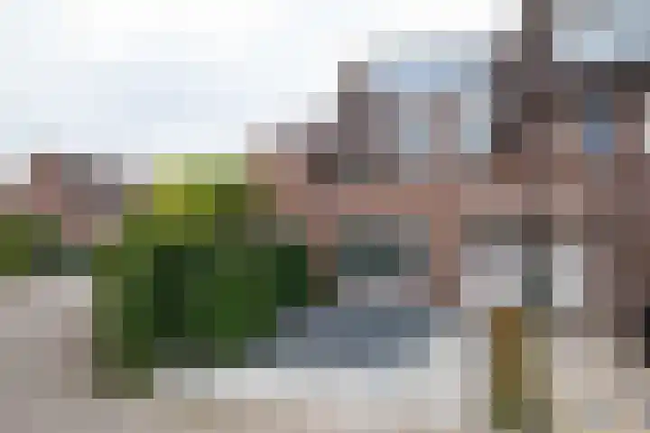 Bandholm 87 in Hoofddorp