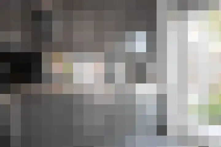 Bandholm 87 Hoofddorp thumbnail 16