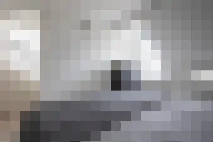Bandholm 87 Hoofddorp thumbnail 17