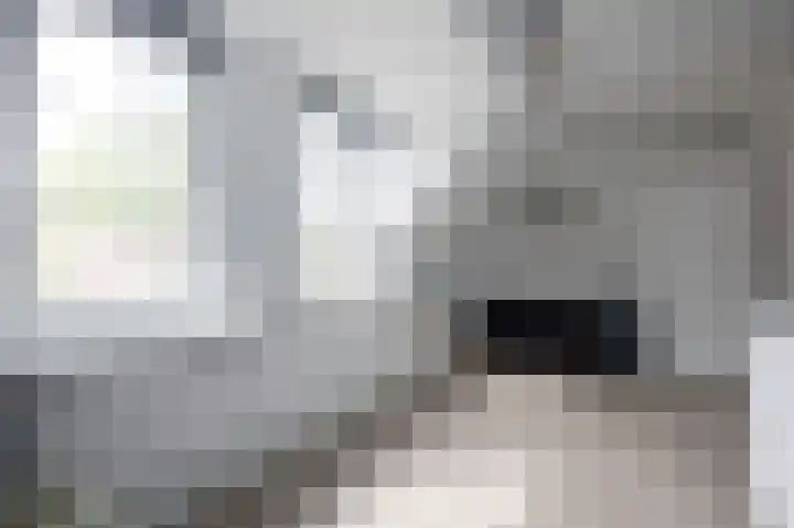 Bandholm 87 Hoofddorp thumbnail 22