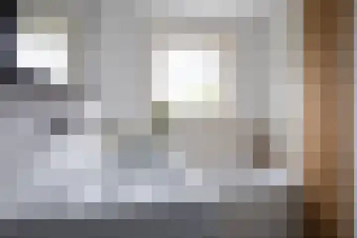 Bandholm 87 Hoofddorp thumbnail 27