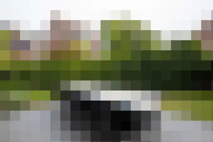 Bandholm 87 Hoofddorp thumbnail 37